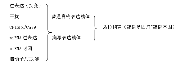 bti体育·(中国)官方网站APP下载