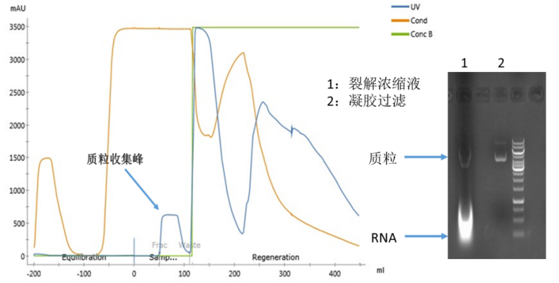 bti体育·(中国)官方网站APP下载