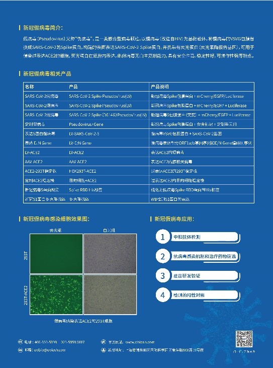 bti体育·(中国)官方网站APP下载