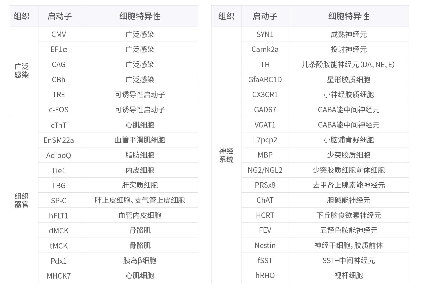 bti体育·(中国)官方网站APP下载