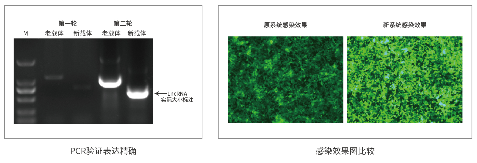 bti体育·(中国)官方网站APP下载