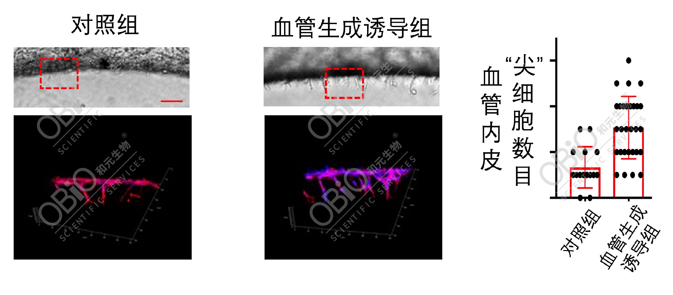 bti体育·(中国)官方网站APP下载