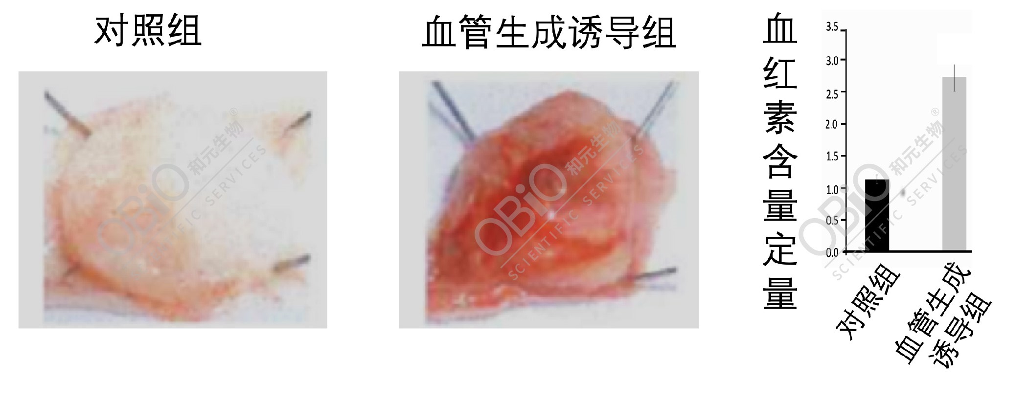 bti体育·(中国)官方网站APP下载