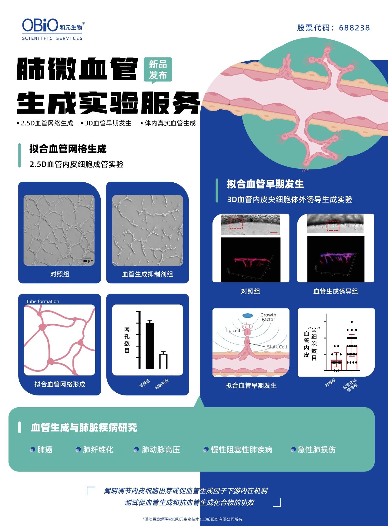 bti体育·(中国)官方网站APP下载