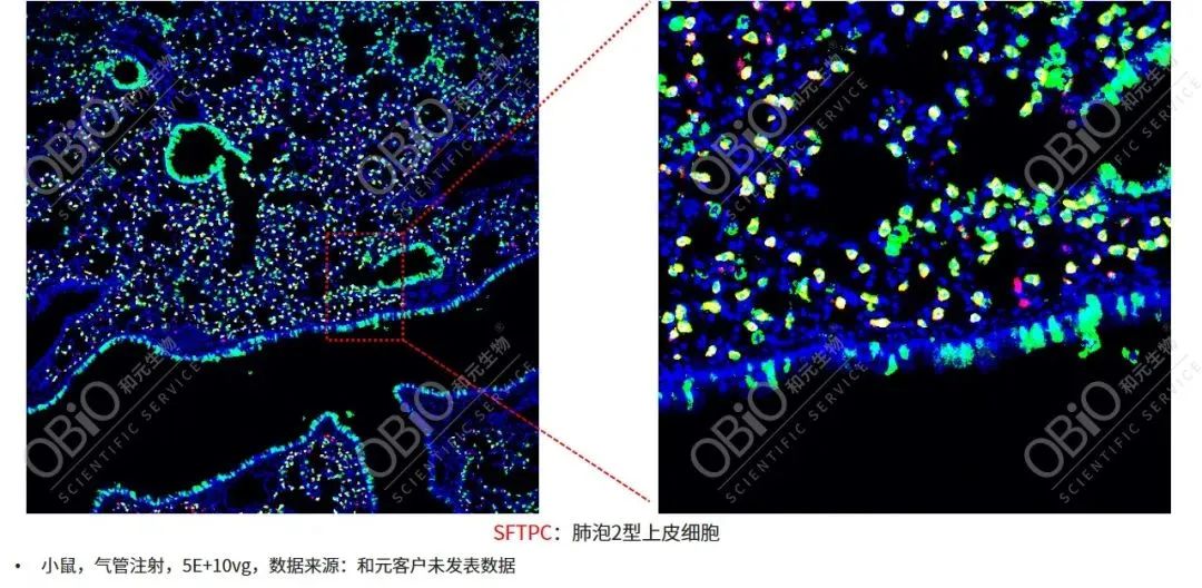 bti体育·(中国)官方网站APP下载