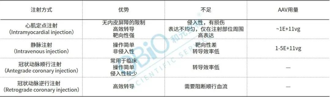 bti体育·(中国)官方网站APP下载