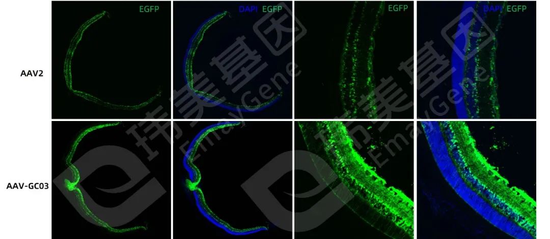 bti体育·(中国)官方网站APP下载