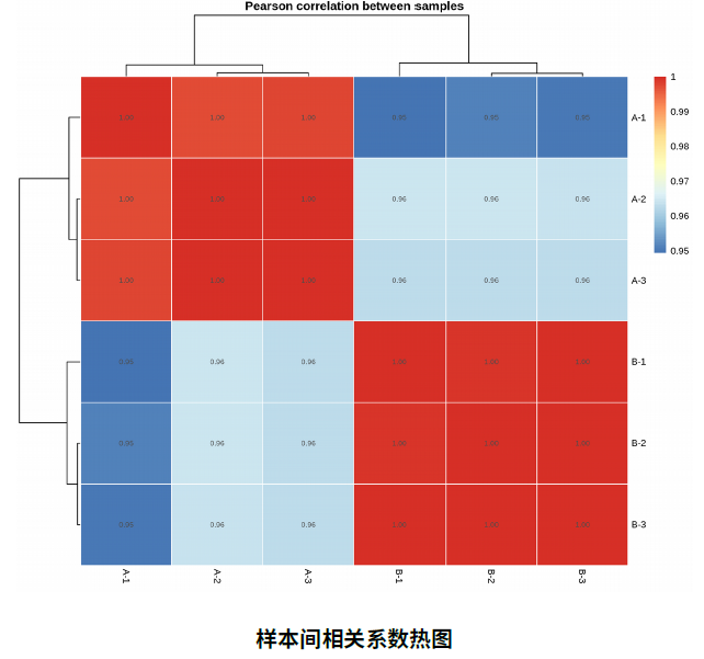 bti体育·(中国)官方网站APP下载